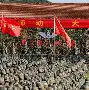 凯尔特人三巨头恩怨